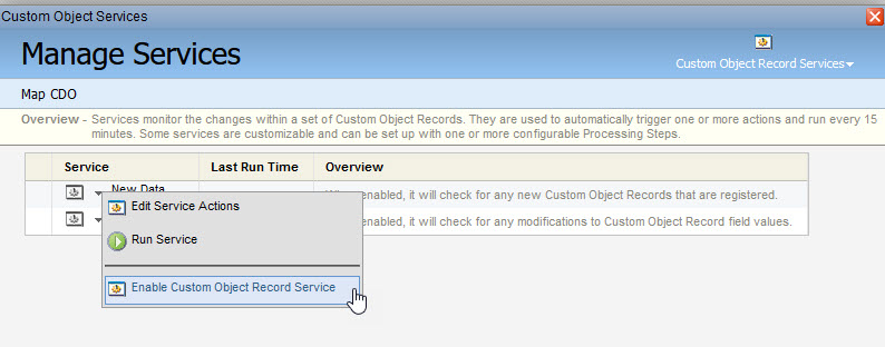Eloqua Custom Object Record Services